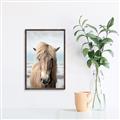 Picture of Sadie _GroupedProduct_Rectangle_Portrait_Photography _GroupedProduct_Rectangle_Portrait_Canvas_Framed_
