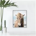 Picture of Sadie _GroupedProduct_Rectangle_Portrait_Photography _GroupedProduct_Rectangle_Portrait_Canvas_Framed_