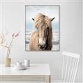 Picture of Sadie _GroupedProduct_Rectangle_Portrait_Photography _GroupedProduct_Rectangle_Portrait_Canvas_Framed_