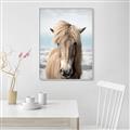 Picture of Sadie _GroupedProduct_Rectangle_Portrait_Photography _GroupedProduct_Rectangle_Portrait_Canvas_Framed_