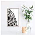 Picture of Colosseum  _GroupedProduct_Rectangle_Portrait_Photography _GroupedProduct_Rectangle_Portrait_Canvas_Framed_