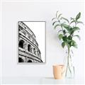 Picture of Colosseum  _GroupedProduct_Rectangle_Portrait_Photography _GroupedProduct_Rectangle_Portrait_Canvas_Framed_