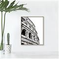 Picture of Colosseum  _GroupedProduct_Rectangle_Portrait_Photography _GroupedProduct_Rectangle_Portrait_Canvas_Framed_