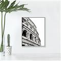 Picture of Colosseum  _GroupedProduct_Rectangle_Portrait_Photography _GroupedProduct_Rectangle_Portrait_Canvas_Framed_