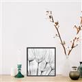 Picture of B&W Flowers end _GroupedProduct_Square_Photography _GroupedProduct_Square_Canvas_Framed_