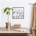 Picture of B&W Flowers end _GroupedProduct_Square_Photography _GroupedProduct_Square_Canvas_Framed_