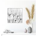 Picture of B&W Flowers end _GroupedProduct_Square_Photography _GroupedProduct_Square_Canvas_Framed_