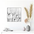 Picture of B&W Flowers end _GroupedProduct_Square_Photography _GroupedProduct_Square_Canvas_Framed_