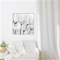Picture of B&W Flowers end _GroupedProduct_Square_Photography _GroupedProduct_Square_Canvas_Framed_