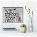 Picture of Big Tiger _GroupedProduct_Rectangle_Landscape_Photography _GroupedProduct_Rectangle_Landscape_Canvas_Framed_