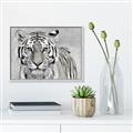Picture of Big Tiger _GroupedProduct_Rectangle_Landscape_Photography _GroupedProduct_Rectangle_Landscape_Canvas_Framed_