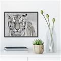 Picture of Big Tiger _GroupedProduct_Rectangle_Landscape_Photography _GroupedProduct_Rectangle_Landscape_Canvas_Framed_