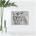 Picture of Big Tiger _GroupedProduct_Rectangle_Landscape_Photography _GroupedProduct_Rectangle_Landscape_Canvas_Framed_