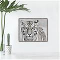 Picture of Big Tiger _GroupedProduct_Rectangle_Landscape_Photography _GroupedProduct_Rectangle_Landscape_Canvas_Framed_