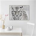 Picture of Big Tiger _GroupedProduct_Rectangle_Landscape_Photography _GroupedProduct_Rectangle_Landscape_Canvas_Framed_
