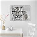 Picture of Big Tiger _GroupedProduct_Rectangle_Landscape_Photography _GroupedProduct_Rectangle_Landscape_Canvas_Framed_