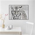 Picture of Big Tiger _GroupedProduct_Rectangle_Landscape_Photography _GroupedProduct_Rectangle_Landscape_Canvas_Framed_