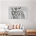 Picture of Big Tiger _GroupedProduct_Rectangle_Landscape_Photography _GroupedProduct_Rectangle_Landscape_Canvas_Framed_