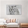 Picture of Big Tiger _GroupedProduct_Rectangle_Landscape_Photography _GroupedProduct_Rectangle_Landscape_Canvas_Framed_