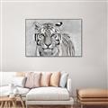 Picture of Big Tiger _GroupedProduct_Rectangle_Landscape_Photography _GroupedProduct_Rectangle_Landscape_Canvas_Framed_