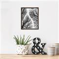 Picture of Web of Trees _GroupedProduct_Rectangle_Portrait_Photography _GroupedProduct_Rectangle_Portrait_Canvas_Framed_