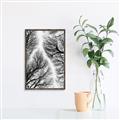 Picture of Web of Trees _GroupedProduct_Rectangle_Portrait_Photography _GroupedProduct_Rectangle_Portrait_Canvas_Framed_
