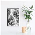 Picture of Web of Trees _GroupedProduct_Rectangle_Portrait_Photography _GroupedProduct_Rectangle_Portrait_Canvas_Framed_
