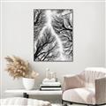 Picture of Web of Trees _GroupedProduct_Rectangle_Portrait_Photography _GroupedProduct_Rectangle_Portrait_Canvas_Framed_