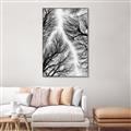 Picture of Web of Trees _GroupedProduct_Rectangle_Portrait_Photography _GroupedProduct_Rectangle_Portrait_Canvas_Framed_