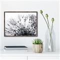 Picture of Dandilion bliss _GroupedProduct_Rectangle_Landscape_Photography _GroupedProduct_Rectangle_Landscape_Canvas_Framed_