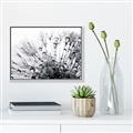 Picture of Dandilion bliss _GroupedProduct_Rectangle_Landscape_Photography _GroupedProduct_Rectangle_Landscape_Canvas_Framed_