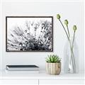 Picture of Dandilion bliss _GroupedProduct_Rectangle_Landscape_Photography _GroupedProduct_Rectangle_Landscape_Canvas_Framed_