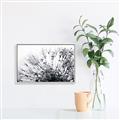 Picture of Dandilion bliss _GroupedProduct_Rectangle_Landscape_Photography _GroupedProduct_Rectangle_Landscape_Canvas_Framed_