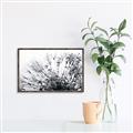 Picture of Dandilion bliss _GroupedProduct_Rectangle_Landscape_Photography _GroupedProduct_Rectangle_Landscape_Canvas_Framed_