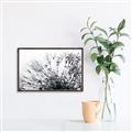 Picture of Dandilion bliss _GroupedProduct_Rectangle_Landscape_Photography _GroupedProduct_Rectangle_Landscape_Canvas_Framed_