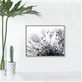 Picture of Dandilion bliss _GroupedProduct_Rectangle_Landscape_Photography _GroupedProduct_Rectangle_Landscape_Canvas_Framed_