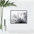 Picture of Dandilion bliss _GroupedProduct_Rectangle_Landscape_Photography _GroupedProduct_Rectangle_Landscape_Canvas_Framed_