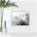Picture of Dandilion bliss _GroupedProduct_Rectangle_Landscape_Photography _GroupedProduct_Rectangle_Landscape_Canvas_Framed_