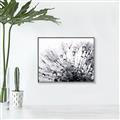 Picture of Dandilion bliss _GroupedProduct_Rectangle_Landscape_Photography _GroupedProduct_Rectangle_Landscape_Canvas_Framed_