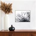 Picture of Dandilion bliss _GroupedProduct_Rectangle_Landscape_Photography _GroupedProduct_Rectangle_Landscape_Canvas_Framed_