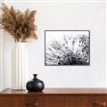 Picture of Dandilion bliss _GroupedProduct_Rectangle_Landscape_Photography _GroupedProduct_Rectangle_Landscape_Canvas_Framed_