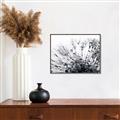 Picture of Dandilion bliss _GroupedProduct_Rectangle_Landscape_Photography _GroupedProduct_Rectangle_Landscape_Canvas_Framed_