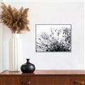 Picture of Dandilion bliss _GroupedProduct_Rectangle_Landscape_Photography _GroupedProduct_Rectangle_Landscape_Canvas_Framed_