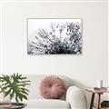 Picture of Dandilion bliss _GroupedProduct_Rectangle_Landscape_Photography _GroupedProduct_Rectangle_Landscape_Canvas_Framed_