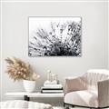 Picture of Dandilion bliss _GroupedProduct_Rectangle_Landscape_Photography _GroupedProduct_Rectangle_Landscape_Canvas_Framed_