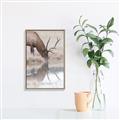 Picture of Elk in the Wild _GroupedProduct_Rectangle_Portrait_Photography _GroupedProduct_Rectangle_Portrait_Canvas_Framed_