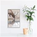 Picture of Elk in the Wild _GroupedProduct_Rectangle_Portrait_Photography _GroupedProduct_Rectangle_Portrait_Canvas_Framed_