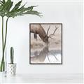 Picture of Elk in the Wild _GroupedProduct_Rectangle_Portrait_Photography _GroupedProduct_Rectangle_Portrait_Canvas_Framed_