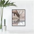Picture of Elk in the Wild _GroupedProduct_Rectangle_Portrait_Photography _GroupedProduct_Rectangle_Portrait_Canvas_Framed_