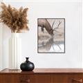 Picture of Elk in the Wild _GroupedProduct_Rectangle_Portrait_Photography _GroupedProduct_Rectangle_Portrait_Canvas_Framed_